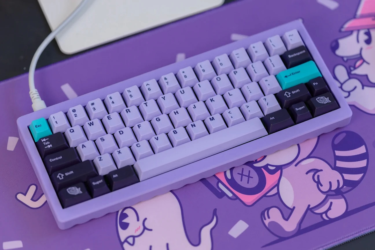 Hibi purple case with switches